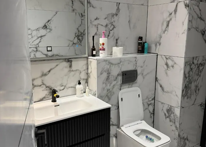 Luxury Flat-downtown 公寓 *
