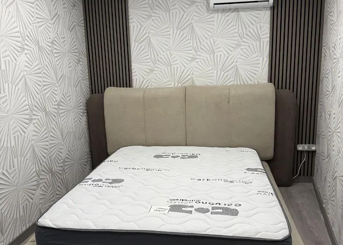 公寓 Luxury Flat-downtown